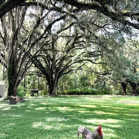 The Harmony Oaks Homestead Masaryktown Exterior photo