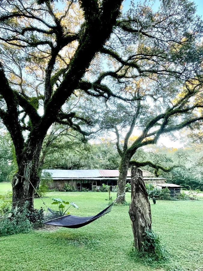 The Harmony Oaks Homestead Masaryktown Exterior photo