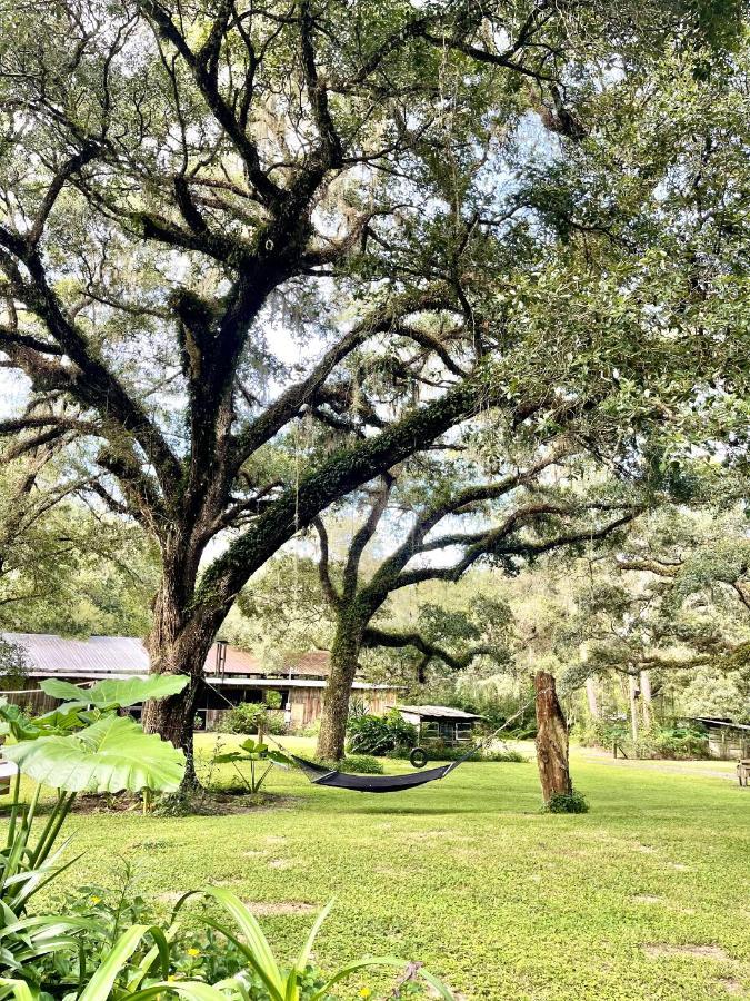 The Harmony Oaks Homestead Masaryktown Exterior photo