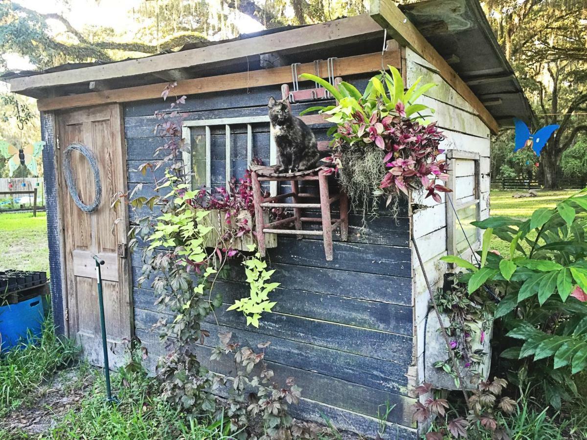 The Harmony Oaks Homestead Masaryktown Exterior photo