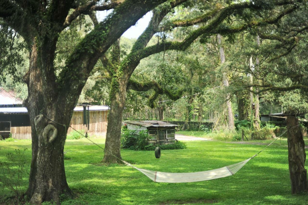 The Harmony Oaks Homestead Masaryktown Exterior photo